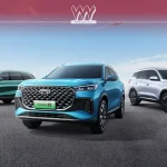 تابستان پررونق چری، چگونه آغاز شد؟